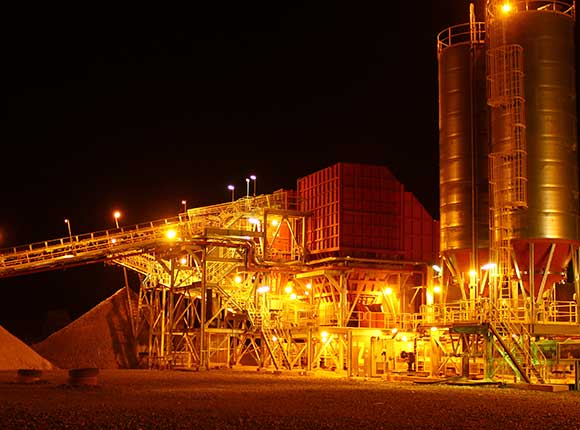 Syama Plant Night